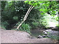 Stepping stones over The Beck, High Broom Wood (2)