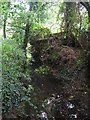 The Beck, High Broom Wood (5)