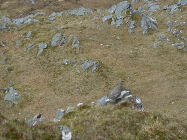 West ridge of Ben Stack