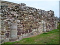 Ruined wall of Coldingham Priory