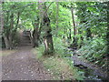 The Beck and steps on a path, High Broom Wood