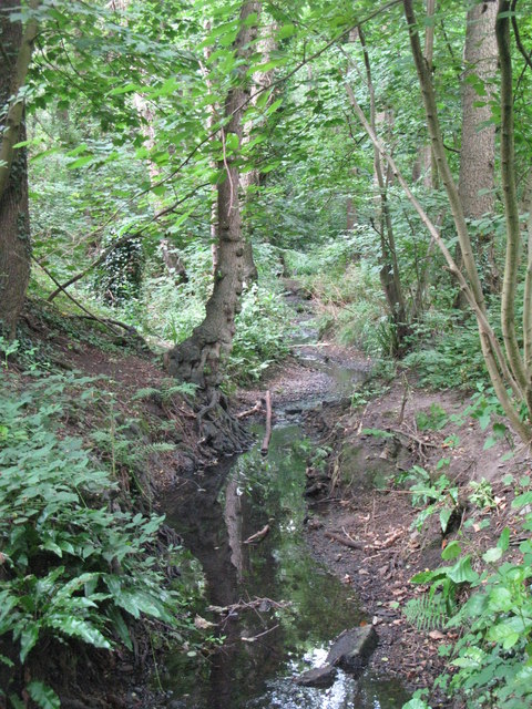 The Beck, High Broom Wood (15) © Mike Quinn cc-by-sa/2.0 :: Geograph ...