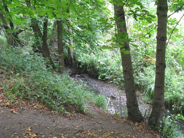 The Beck, High Broom Wood (16) © Mike Quinn cc-by-sa/2.0 :: Geograph ...