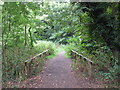 Footbridge over The Beck, High Broom Wood