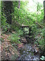 The Beck, High Broom Wood (20)