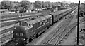 Diesel-hauled Down express near West Ealing