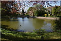 Duck pond at Rylstone