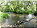 Fonthill Stream, Tisbury