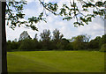 Green space on the fringe of the linear park