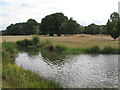 Small lake at Langley Park Golf Club (2)