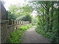 Bridleway - end of Rein Road