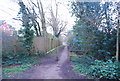 Footpath on the edge of Hadley Green