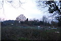 Allotments north of High Barnet