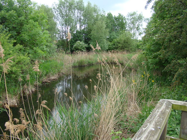 Pond alongside the Bow Creek Ecology... © Robert Lamb :: Geograph ...