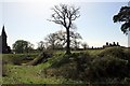 SJ4159 : Aldford Motte and Bailey Castle (Blobb Hill) by Jeff Buck