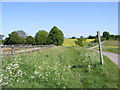 Footpath to Parham House