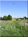 Footpath to Parham House