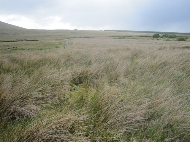 Marshy grassland (or grassy marshland) by the upper Bunowen River