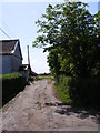 Footpath to the B1116 Woodbridge Road