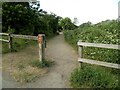 Part of the Valley Walk