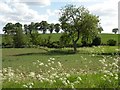 Countryside just south of Borley Green