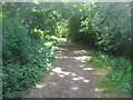 Path by the Hogsmill river, Malden