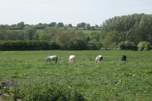 Field by Ossetts Hole Lane © Robin Stott cc-by-sa/2.0 :: Geograph ...