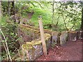 Old stone footbridge over the mill stream