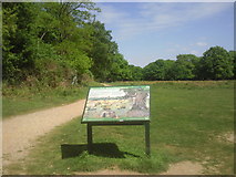TQ1872 : Richmond Park National Nature Reserve by Marathon