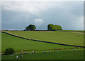 The valley of Dalebanks Beck