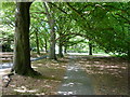 Footpath in Mote Park, Maidstone