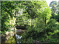 The Quaggy River, Manor Park