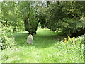 Disused and unwanted Horsham Road Cemetery Petworth