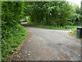 Track junction in Brinkshole Heath