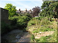 The Quaggy River, Manor Park (11)