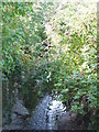 The Quaggy River south of Manor Park, SE13