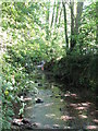 The Quaggy River, Manor House Gardens (3)