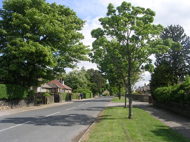 Westfield Lane - viewed from Kingsway