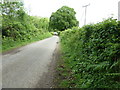 Cyclists on Glasshouse Lane