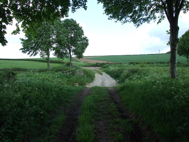Ford Moor Crichel © Lorraine And Keith Bowdler Geograph Britain And
