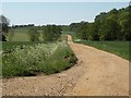 A track that leads to Ampton Water