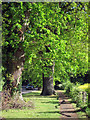 Footpath along Cackle Street