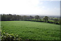 View south from the Greensand Way