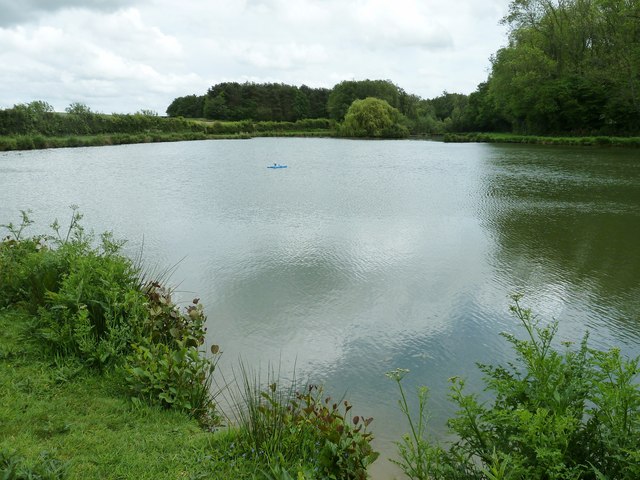 Pond and Pondtail Copse