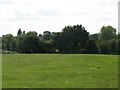 Former recreation ground south of Manor Way, SE3 (3)