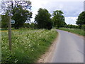 Thong Hall Road & the footpath to Walnuts Lane