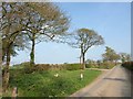 Lane to Witheridge Moor Cross (East)