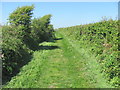 Bridleway west of Southerndown