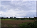 Fields next to the footpath to Campsea Ashe