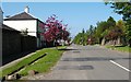 Queen Street, Helensburgh